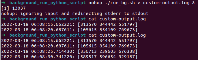 Run a Python script inside a virtual environment in the background -  Ahmedur Rahman Shovon